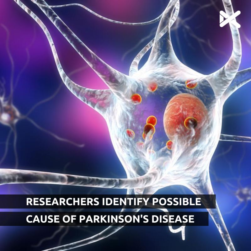 Des chercheurs découvrent une cause potentielle de la maladie de Parkinson.