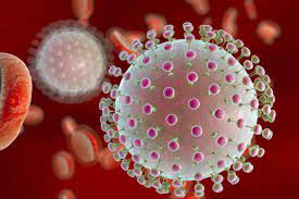 virus zika