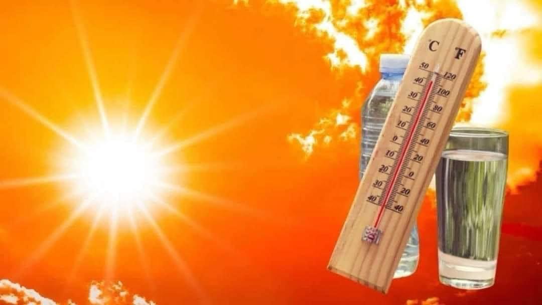 canicule et precaution à prendre