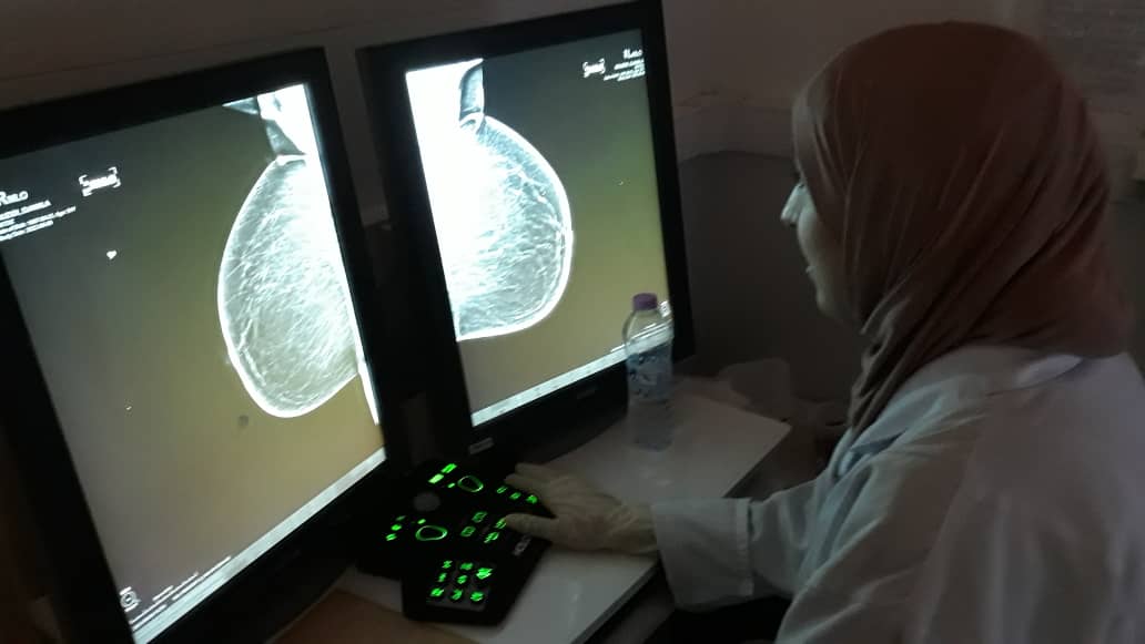 Octobre rose: Un mois pour sensibiliser au dépistage et au diagnostic précoce du cancer du sein