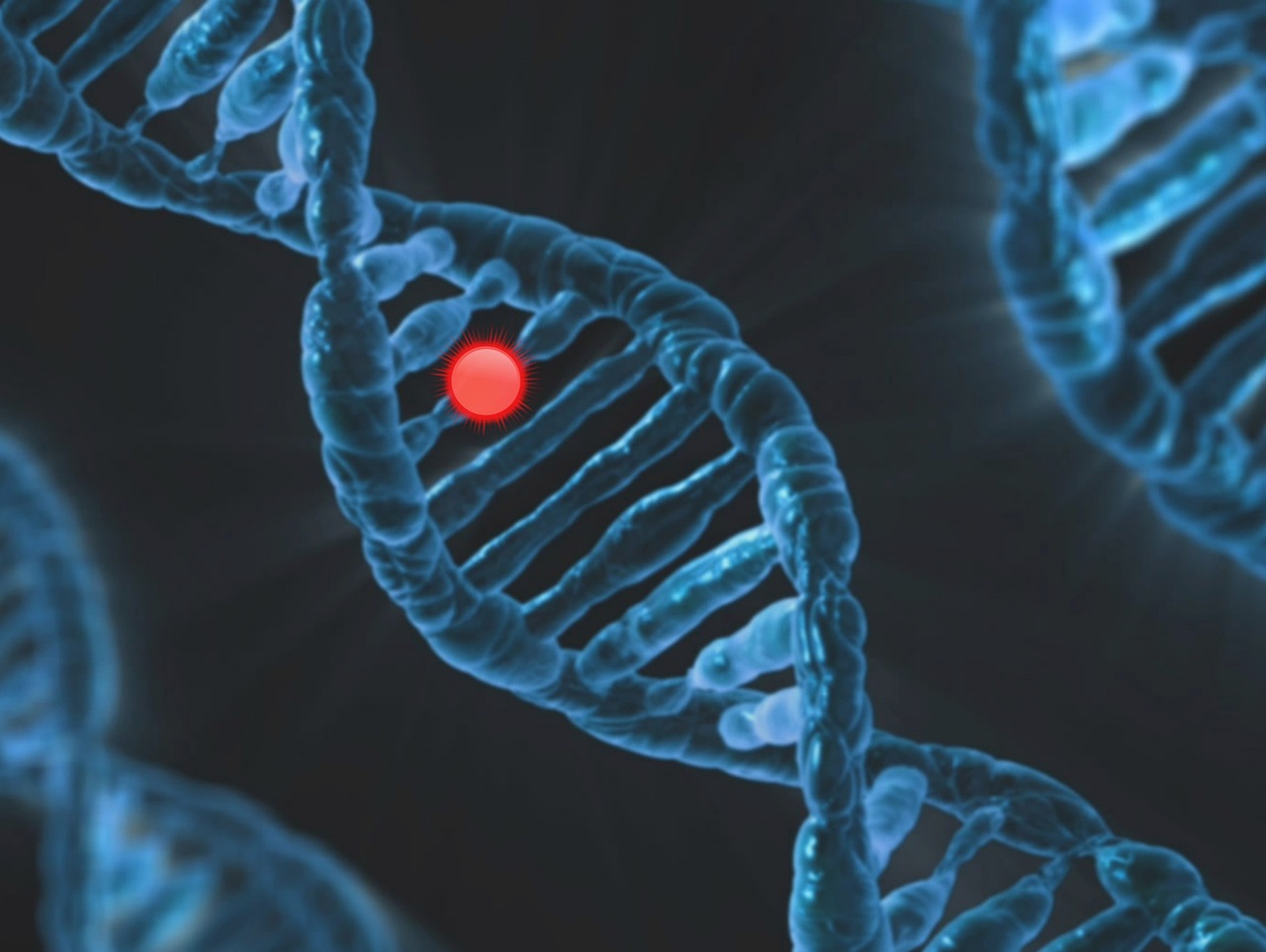 Publication de la liste des maladies rares : Plus d’une centaine de pathologies répertoriées