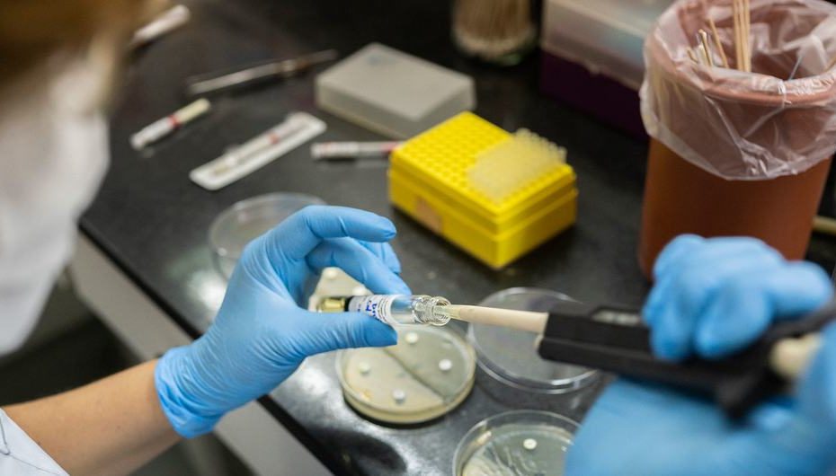 Antibiotiques : L’OMS alerte sur une résistance généralisée dans le monde