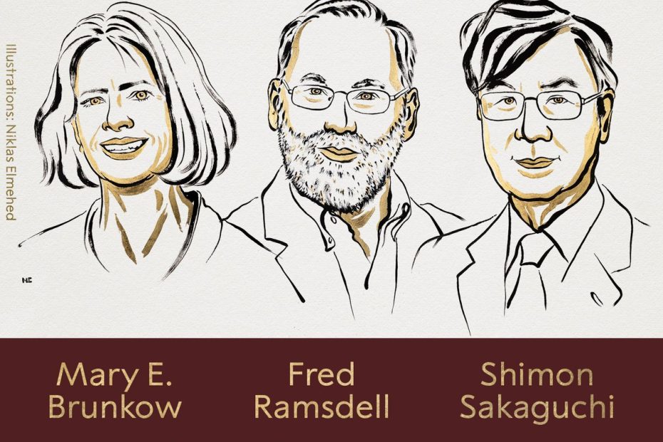 Prix Nobel de médecine 2025: Trois chercheurs distingués pour la découverte la découverte d’un mécanisme clé empêchant les maladies auto-immunes