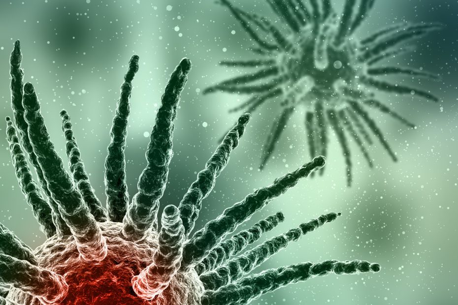 6ème Congrès de la Société algérienne d’infectiologie (SAI) : Ces maladies qu’on croyait à jamais révolues… !