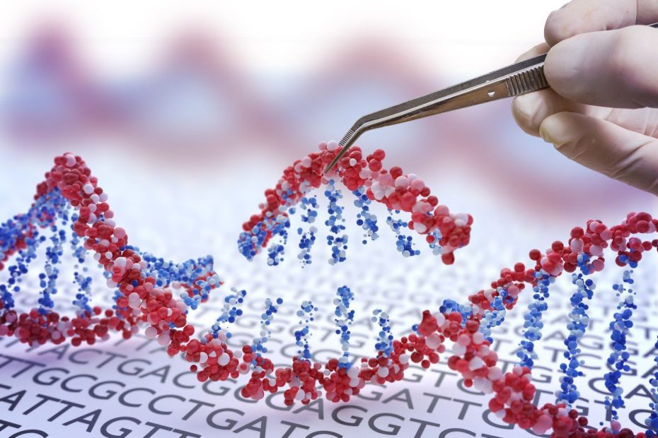 Maladies rares : Une reconnaissance officielle comme enjeu de santé publique