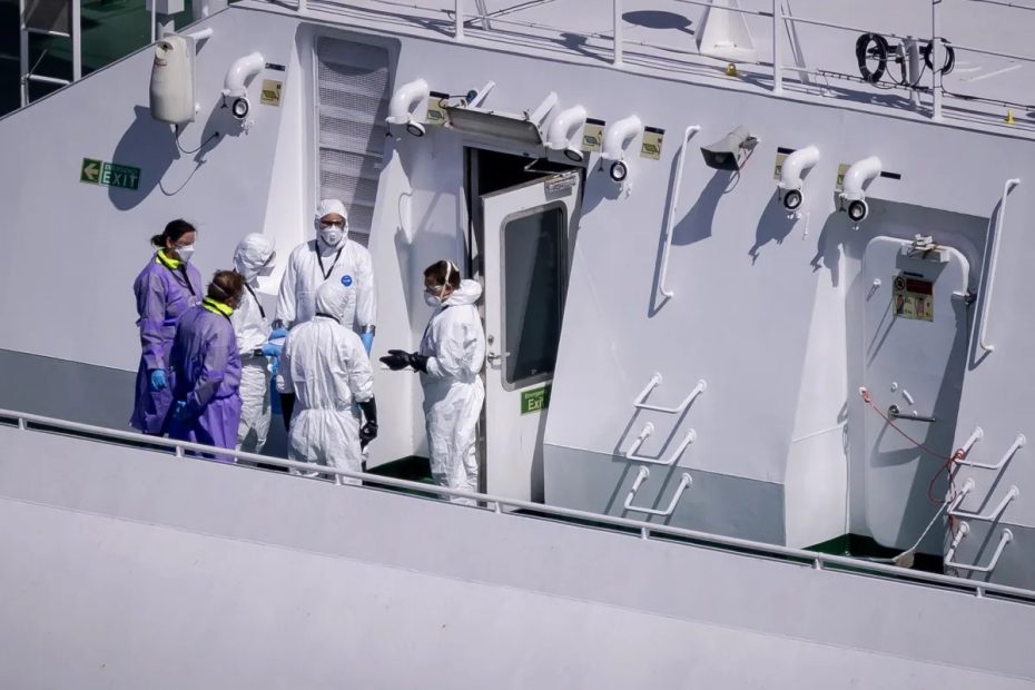 Le Royaume-Uni confirme un cas d'hantavirus à Tristan da Cunha, selon l’OMS