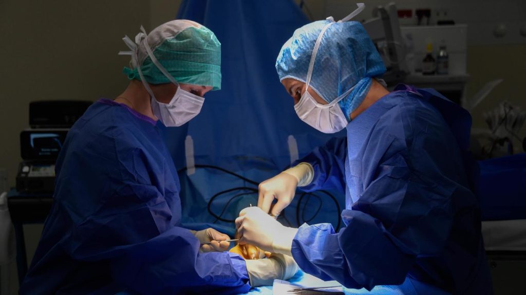 Formations et actes médicaux : Les précisions du DGSS Pr Lyes Rahal 